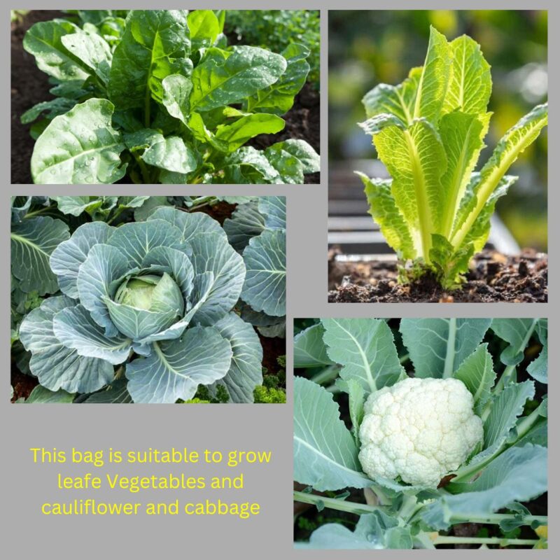 HDPE 16 X 8 Inches grow Bag - Pack of 4 Pieces - Image 4