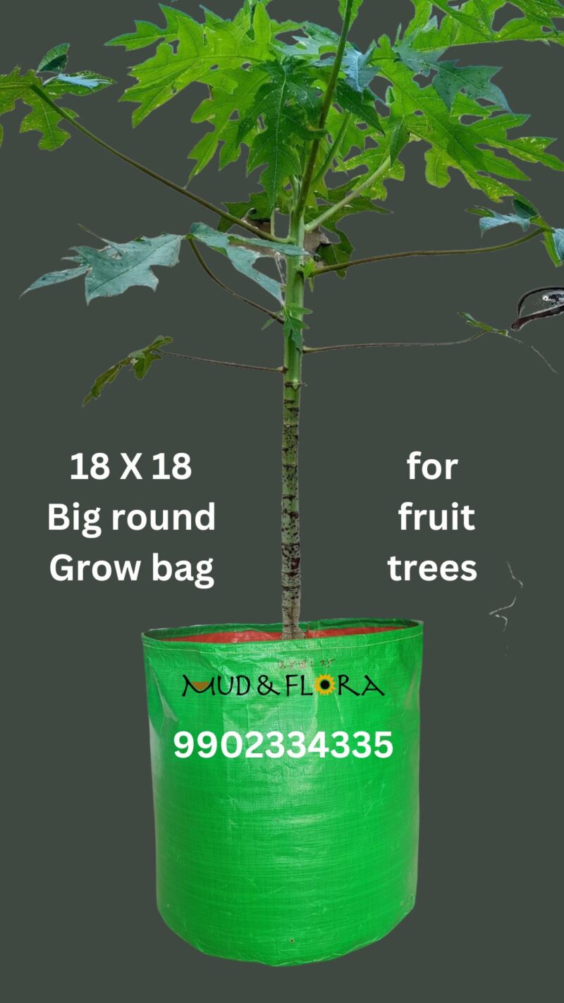 Big Round HDEP Grow bags for Trees 18 X 18 inches