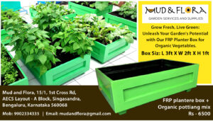 FRP planter Box 