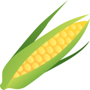 Sweet Corn