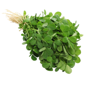 Methi