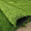 Artificial Grass